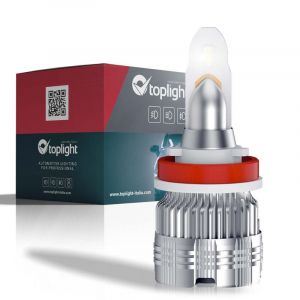 TopLight 4173071