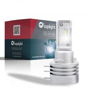 TopLight 4175751